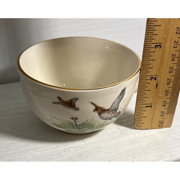 Georgina China Snack Plate & Tea Cup Set Breakfast Luncheon Cabincore Birds - Picture 12 of 13